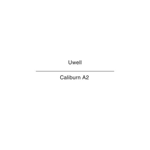 Uwell Caliburn A2 Kit NZ